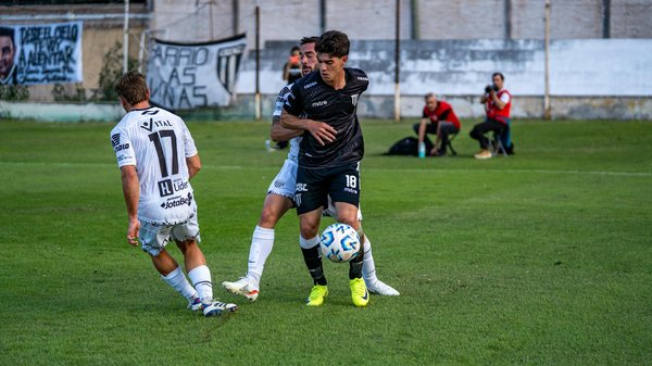 Top Équipements de sport canin Écologiques et performants